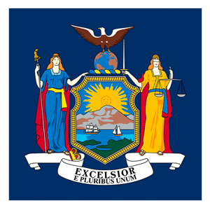 NY flag icon